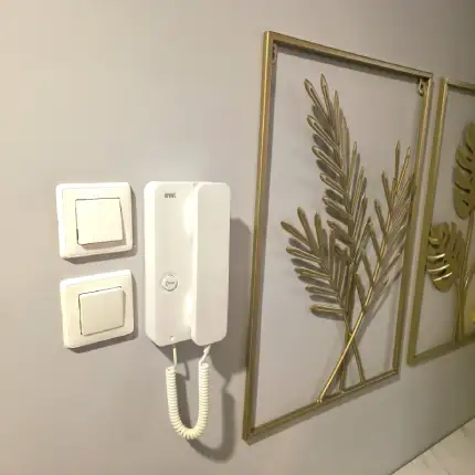 Подмяна на стари домофони с нови цифрови апарати в София